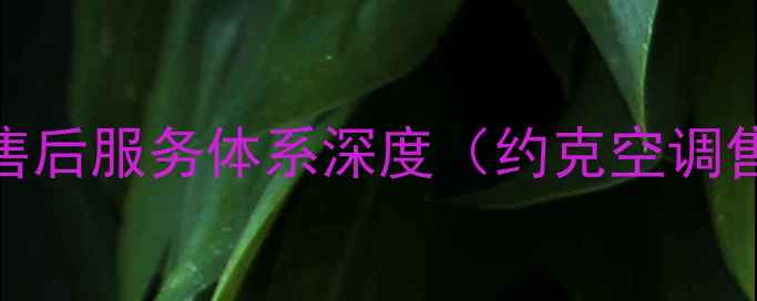 图片 约克空调售后服务体系深度（约克空调售后电话）