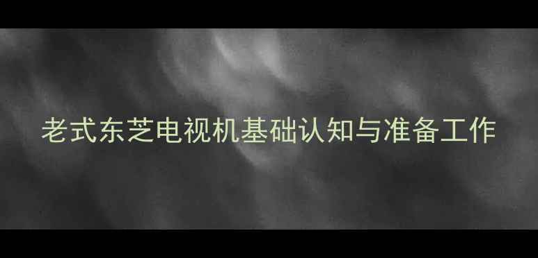 图片 老式东芝电视机基础认知与准备工作
