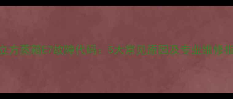 图片 蒸立方蒸箱E7故障代码：5大常见原因及专业维修指南
