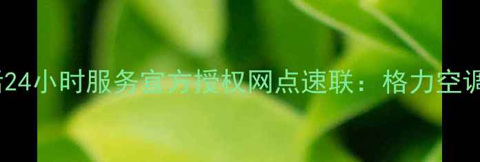 图片 醴陵格力空调售后电话24小时服务官方授权网点速联：格力空调维修保养安装全攻略2