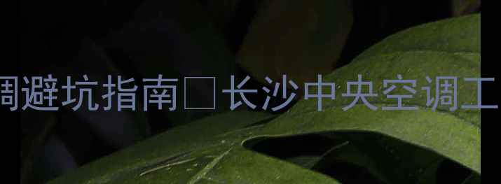 图片 长沙人必看！中央空调避坑指南🔥长沙中央空调工程公司最新推荐清单1