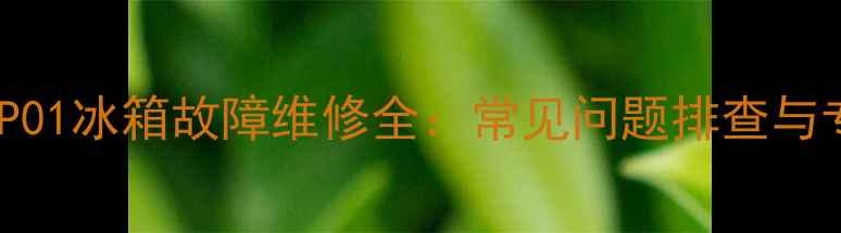 图片 长虹715G5654P01冰箱故障维修全：常见问题排查与专业解决方案1