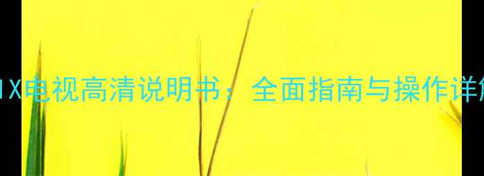 图片 长虹LED32860IX电视高清说明书：全面指南与操作详解（附图解）2