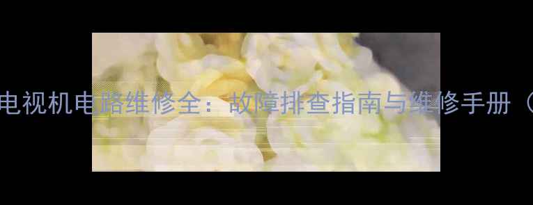 图片 长虹显像管电视机电路维修全：故障排查指南与维修手册（含电路图）