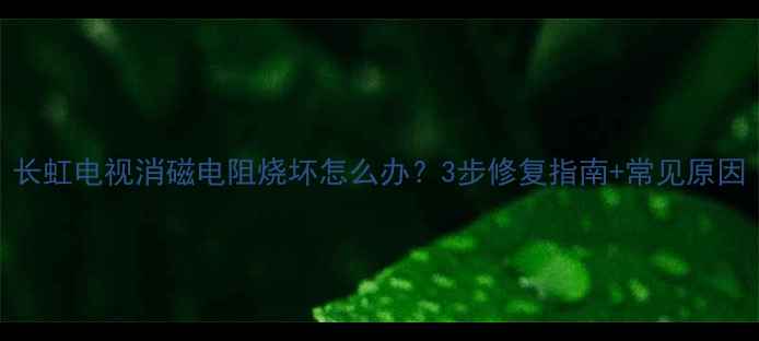 图片 长虹电视消磁电阻烧坏怎么办？3步修复指南+常见原因