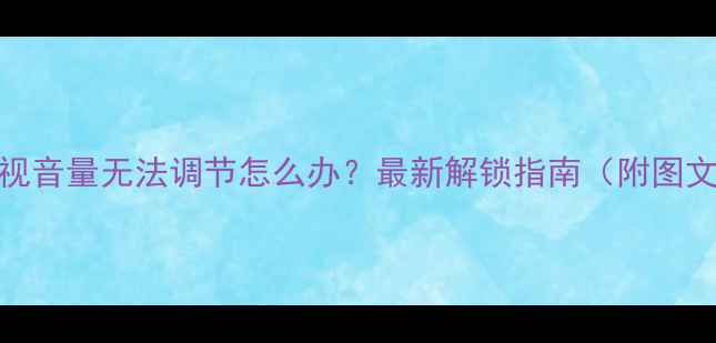 图片 长虹电视音量无法调节怎么办？最新解锁指南（附图文教程）