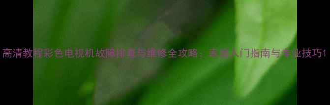 图片 高清教程彩色电视机故障排查与维修全攻略：家庭入门指南与专业技巧1