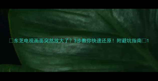 图片 📌东芝电视画面突然放大了？3步教你快速还原！附避坑指南📺1