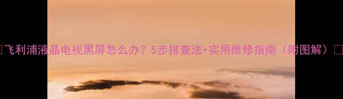 图片 🔥飞利浦液晶电视黑屏怎么办？5步排查法+实用维修指南（附图解）🔧2