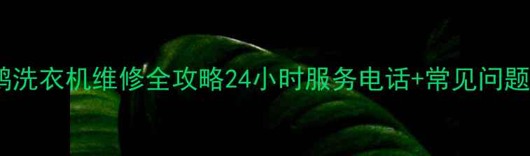 图片 🔧天津小天鹅洗衣机维修全攻略24小时服务电话+常见问题解决指南📞2